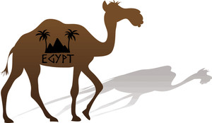 300x174 Free Camel Clipart Image 0515 1011 2419 4557 Acclaim Clipart