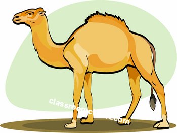 350x262 Free Camel Clipart Clip Art Pictures Graphics Illustrations 2 2