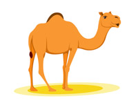 200x146 Search Results For Camel Clipart