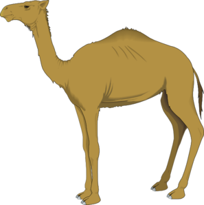 297x298 Camel Clip Art