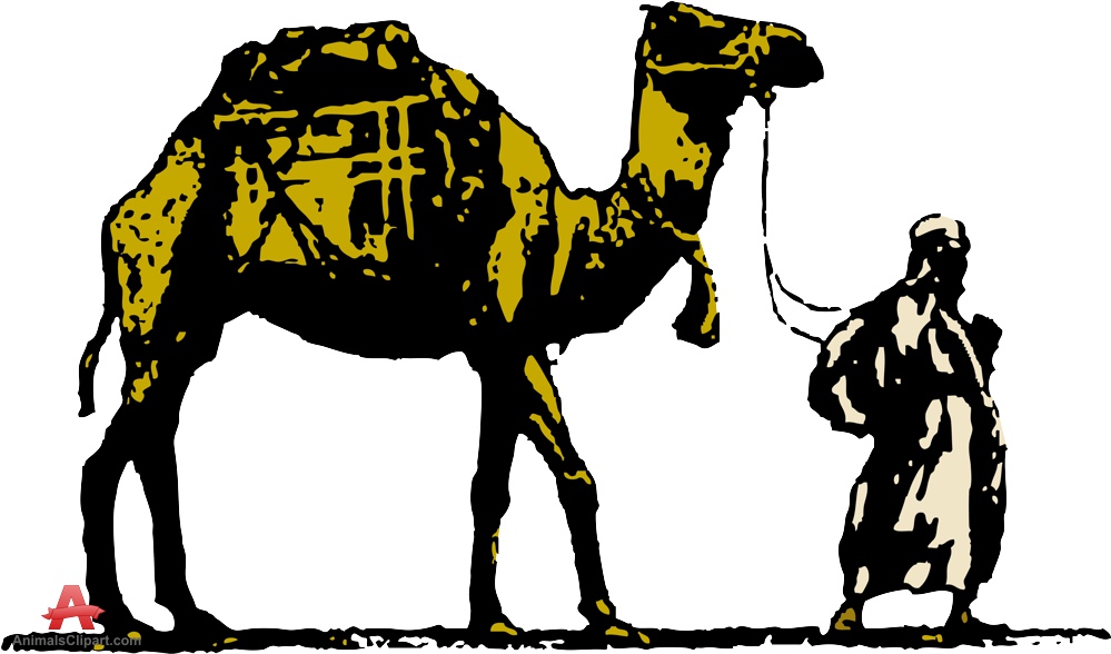 999x588 Camel Clip Art