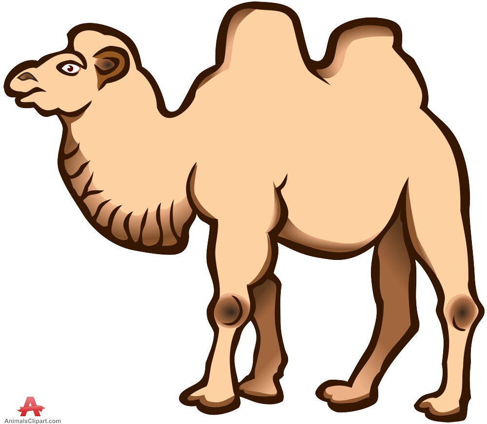 999x871 Camel Clip Art Black And White Image