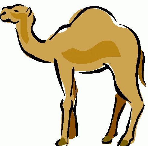 491x482 Camel Clipart Black And White Free Images