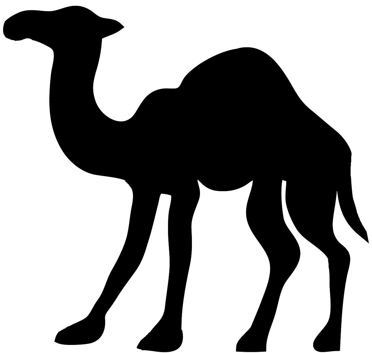 1200x1141 Cute Camel Clipart Transparent Collection