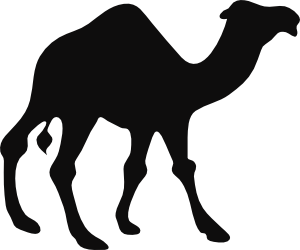 300x250 Walking Camel Clip Art