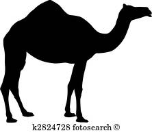 222x194 Camel Clipart And Illustration. 4,876 Camel Clip Art Vector Eps