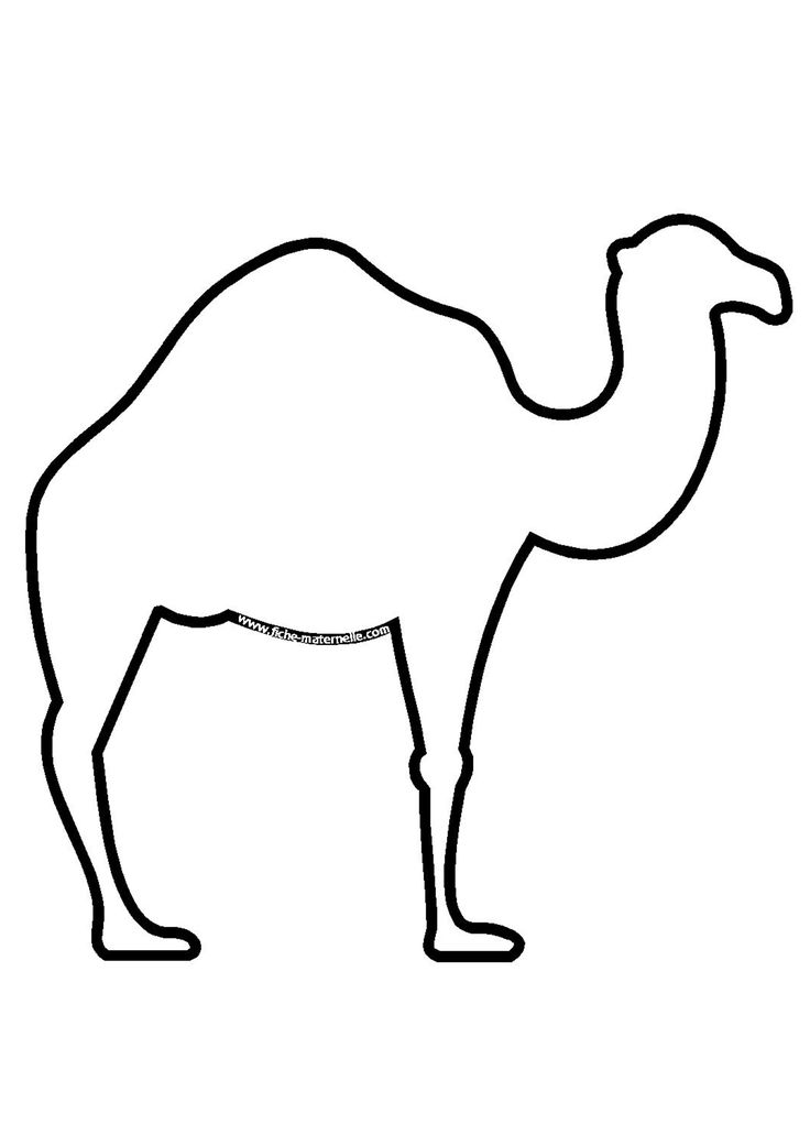 Camel Pictures To Print