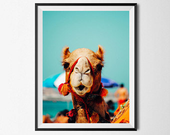 340x270 Camel Print Camel Wall Art Digital Download Safari Nursery