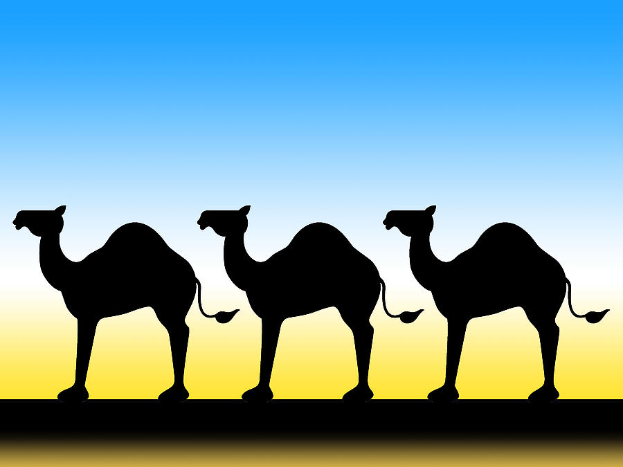 900x675 Camel Train Digital Art By Alison Stein