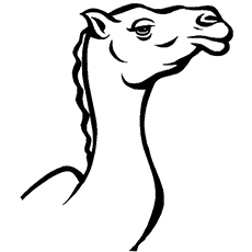 230x230 Top 25free Printable Camel Coloring Pages Online