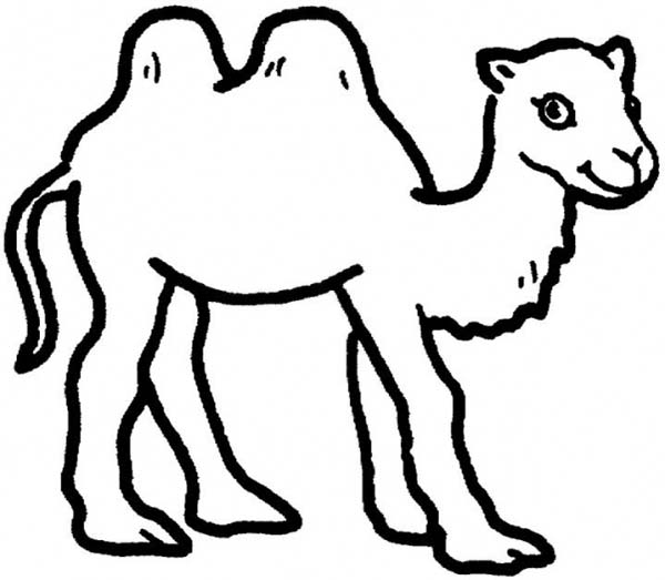 600x523 Two Humped Camel Coloring Page