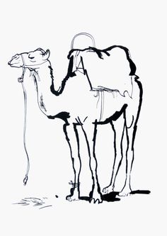 236x333 Artists Drawings Of Camels Camel Sketches By Astrocity20
