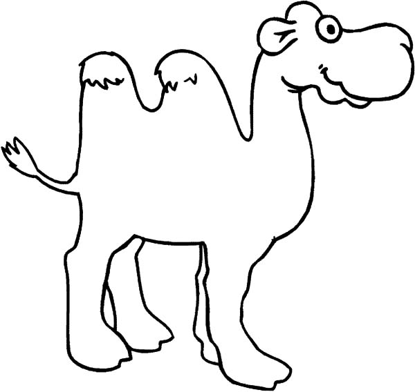 600x568 Bactria Camel Pencil Sketch Coloring Pages Bactria Camel Pencil