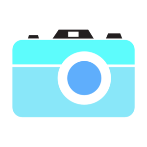 300x300 Camera Icon Png, Svg Clip Art For Web