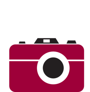 292x297 Camera Shiraz Clip Art