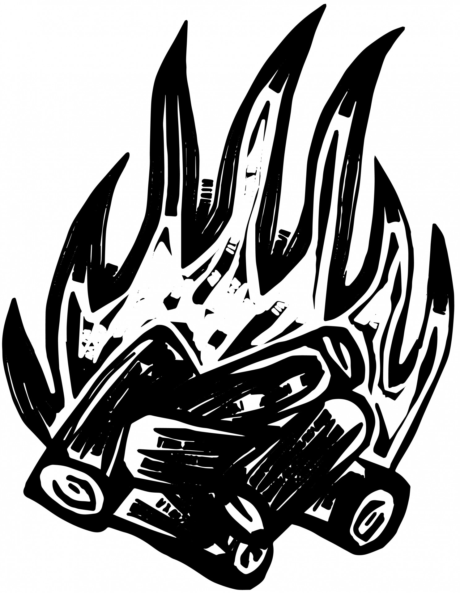 1488x1920 Camp Fire Free Stock Photo