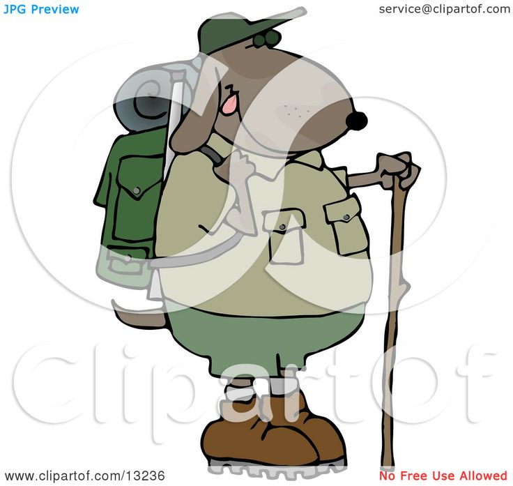 Camping Background Clipart