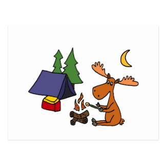 324x324 Camping Cartoon Postcards Zazzle