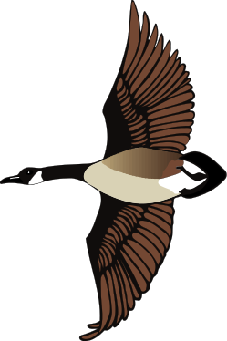 249x374 Clip Art Flying Geese Clipart