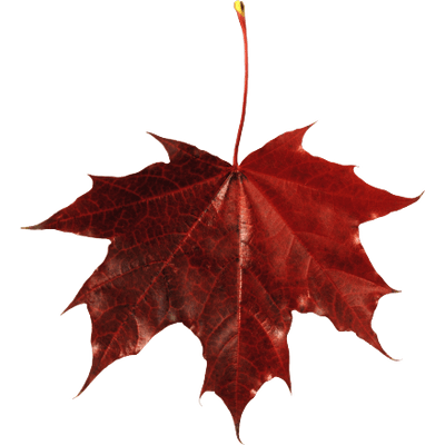 400x400 Canadian Maple Leaf With Shadow Transparent Png
