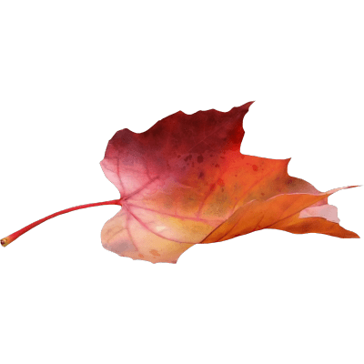 400x400 Canadian Maple Leaf Transparent Png