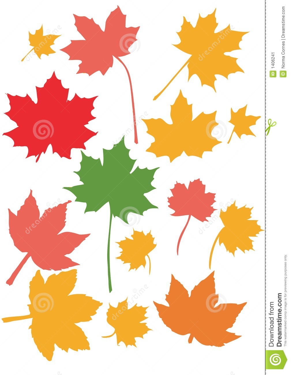 1009x1300 Maple Leaf Clipart Colored Leave