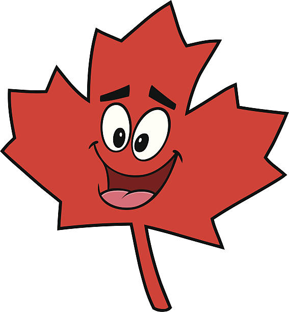 567x612 Maple Leaf Clipart Pink