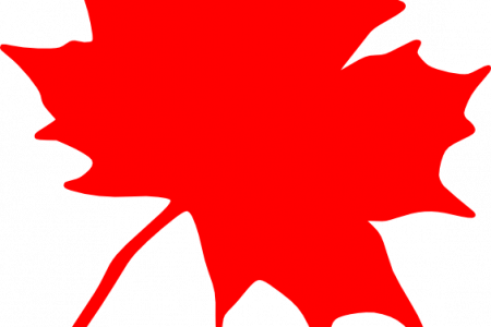 450x300 Maple Leaf Clipart Small Leaf