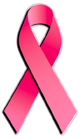 284x482 Breast Cancer Awareness Pink Ribbon Magnet Decal