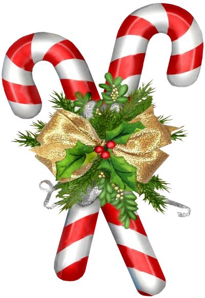 400x580 231 Best Images