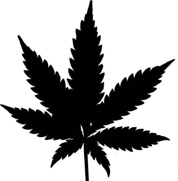593x600 Cannabis Clipart Cannabis Vector