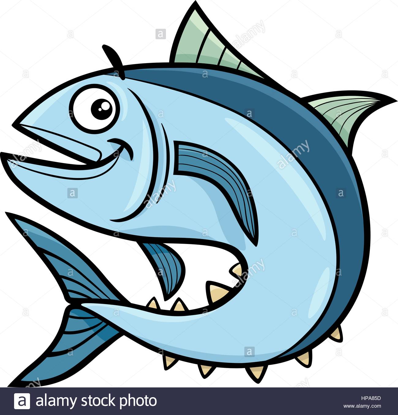 1300x1354 Thunnini Stock Photos Amp Thunnini Stock Images