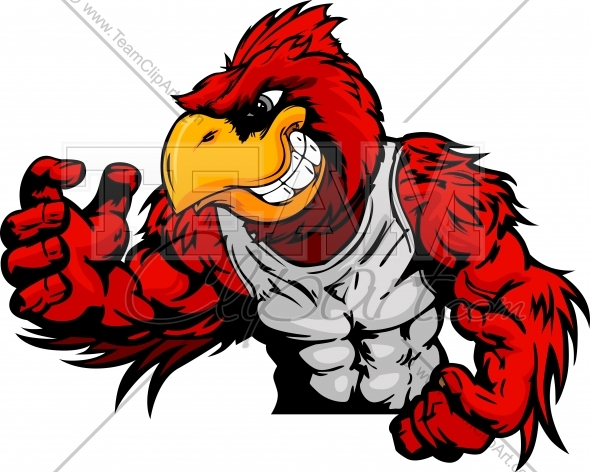 590x472 Cardinal Or Red Bird Wrestler In Wrestling Pose Cartoon Vector
