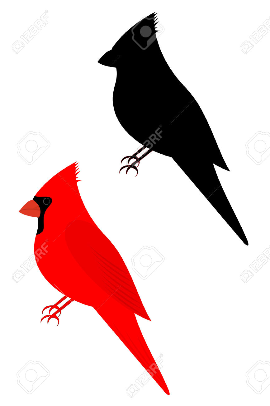 867x1300 Top 49 Cardinal Clipart