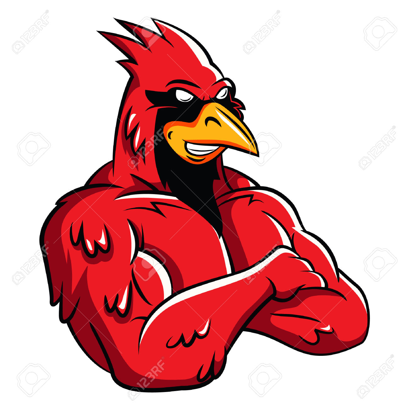 1300x1300 Cardinal Clipart Face