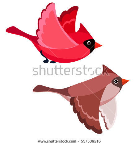 450x470 Realistic Clipart Red Cardinal