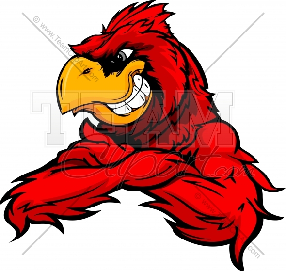 590x559 Cardinal Or Red Bird With Crossed Arms Vector Cartoon