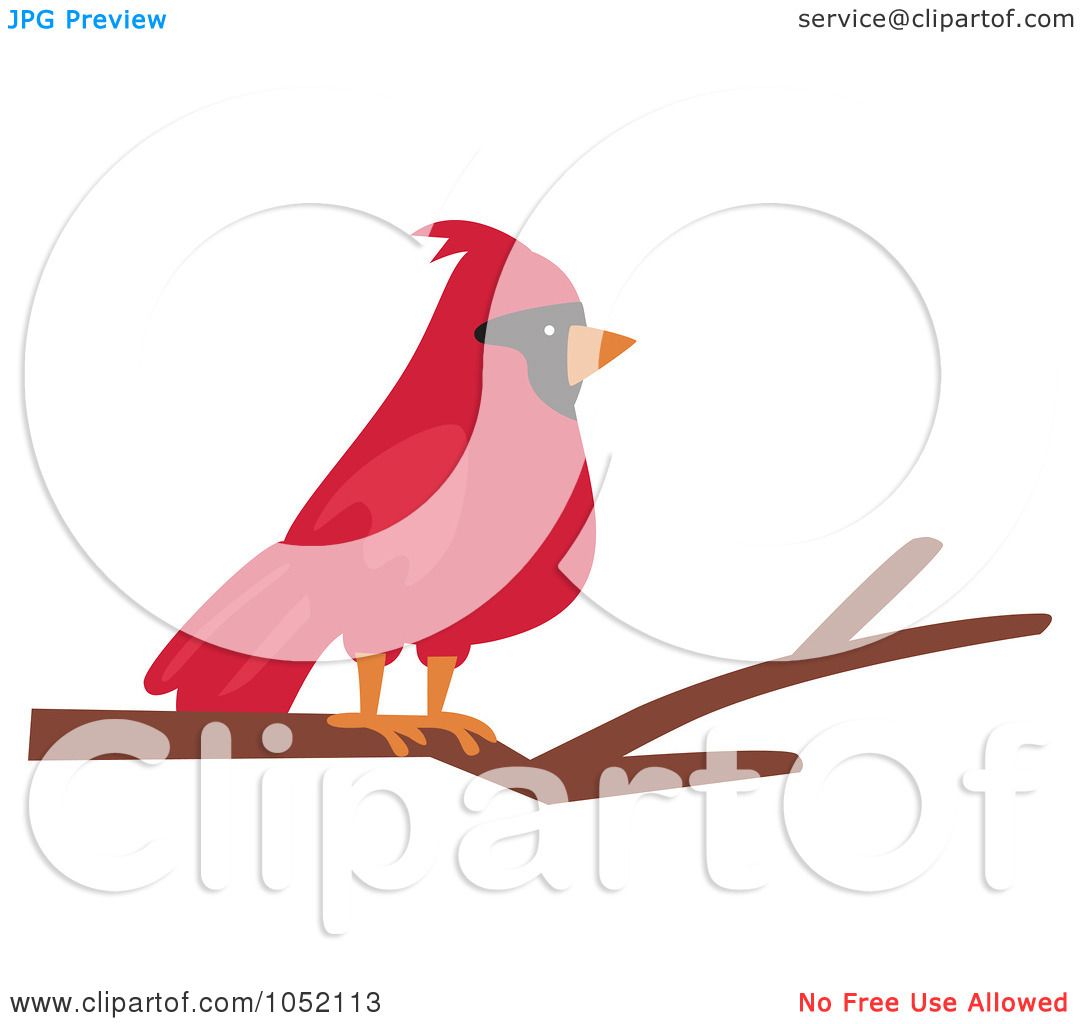 1080x1024 Royalty Free Vector Cliprt Illustration Of Red Cardinal On