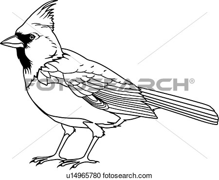 450x370 Cardinal Clip Art