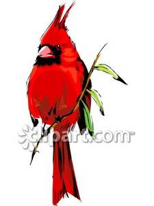 225x300 Cardinal On Branch Clip Art Cliparts