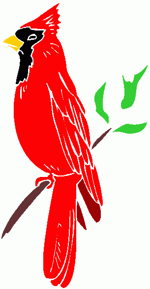305x588 Cardinal Clipart Free