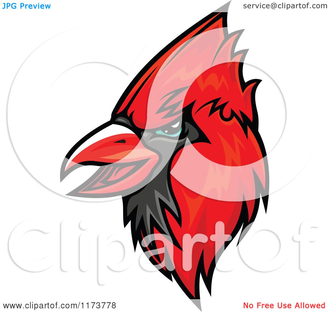 1080x1024 Clipart Of A Red Cardinal Head 2