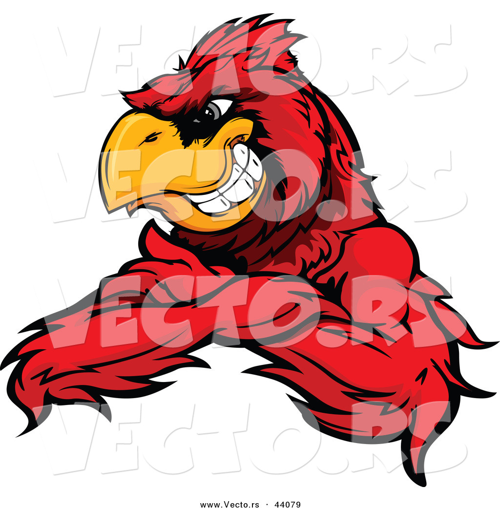 1024x1044 Mascot Clipart Cardinal