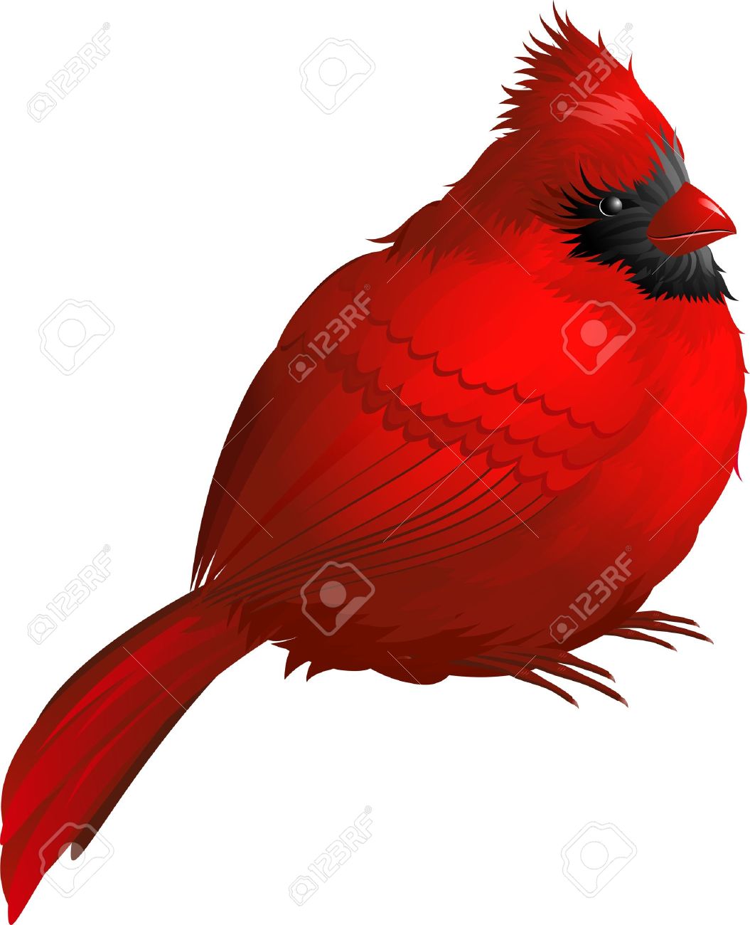 1055x1300 Top 83 Cardinal Clipart