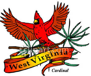 300x251 Bird Of West Virginia, The Red Cardinal Royalty Free Clipart Picture