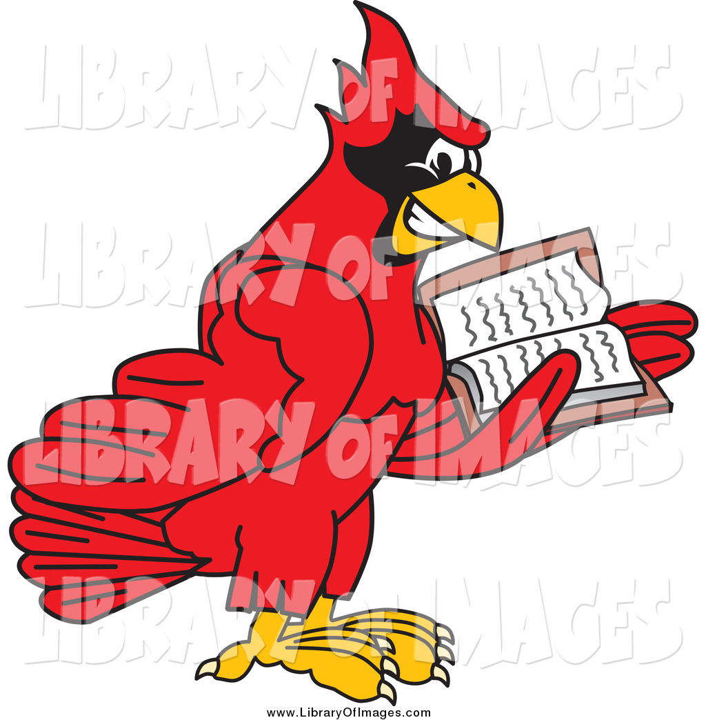 1024x1044 Cardinal Clipart Scared
