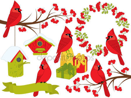 449x337 Cardinals Stock Vectors, Royalty Free Cardinals Illustrations