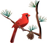 165x152 Christmas Cardinal Clipart