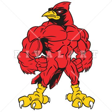 361x361 Mascot Clipart Image Of Cardinal With Muscles In Color Graphic