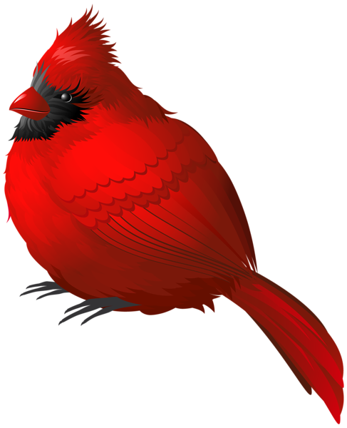 487x600 Red Winter Bird Png Clipart Image Cardinals